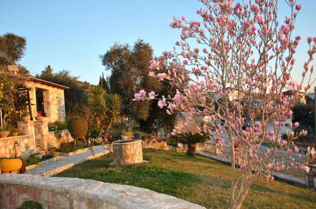 Apartamento Amaryllis House Parga Exterior foto